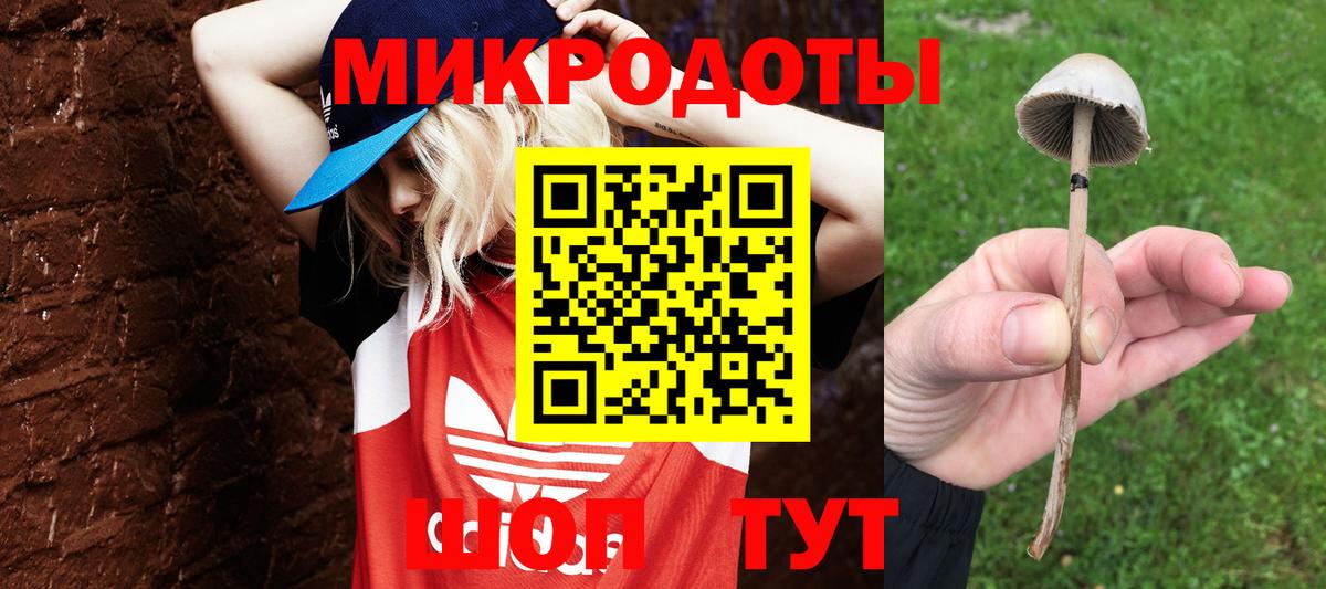 Псилоцибиновые грибы мицелий  Вход с VPN  что такое   Краснокаменск  Псилоцибиновые грибы MAGIC MUSHROOMS 