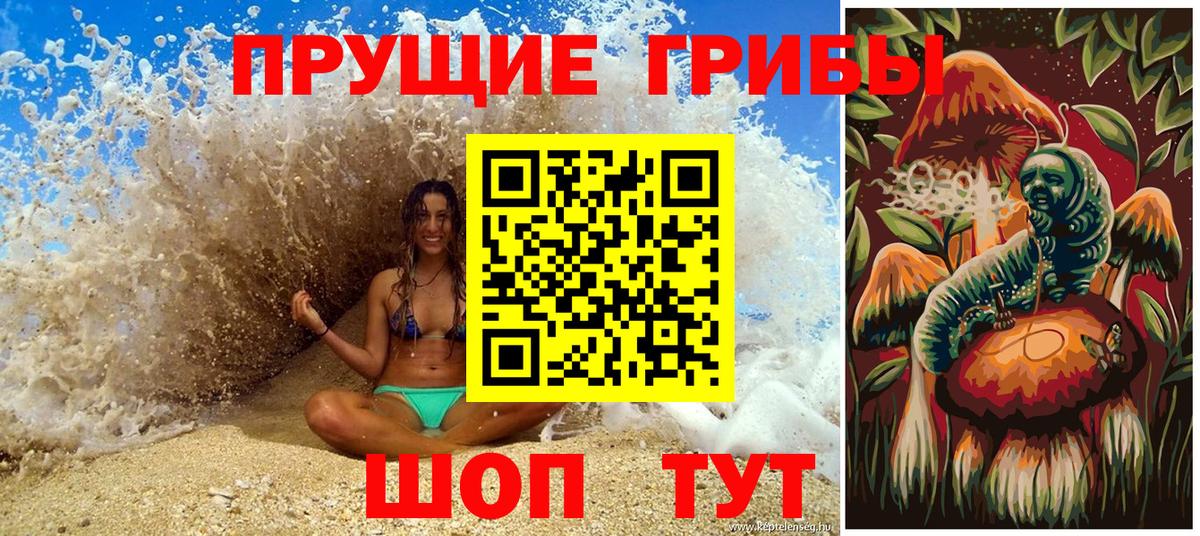 Галлюциногенные грибы Psilocybe Краснокаменск