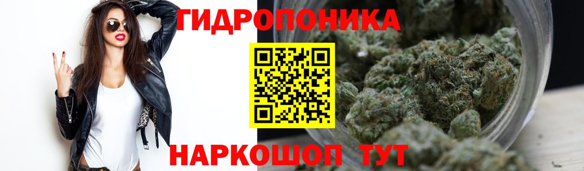 Бошки Шишки Amnesia Краснокаменск